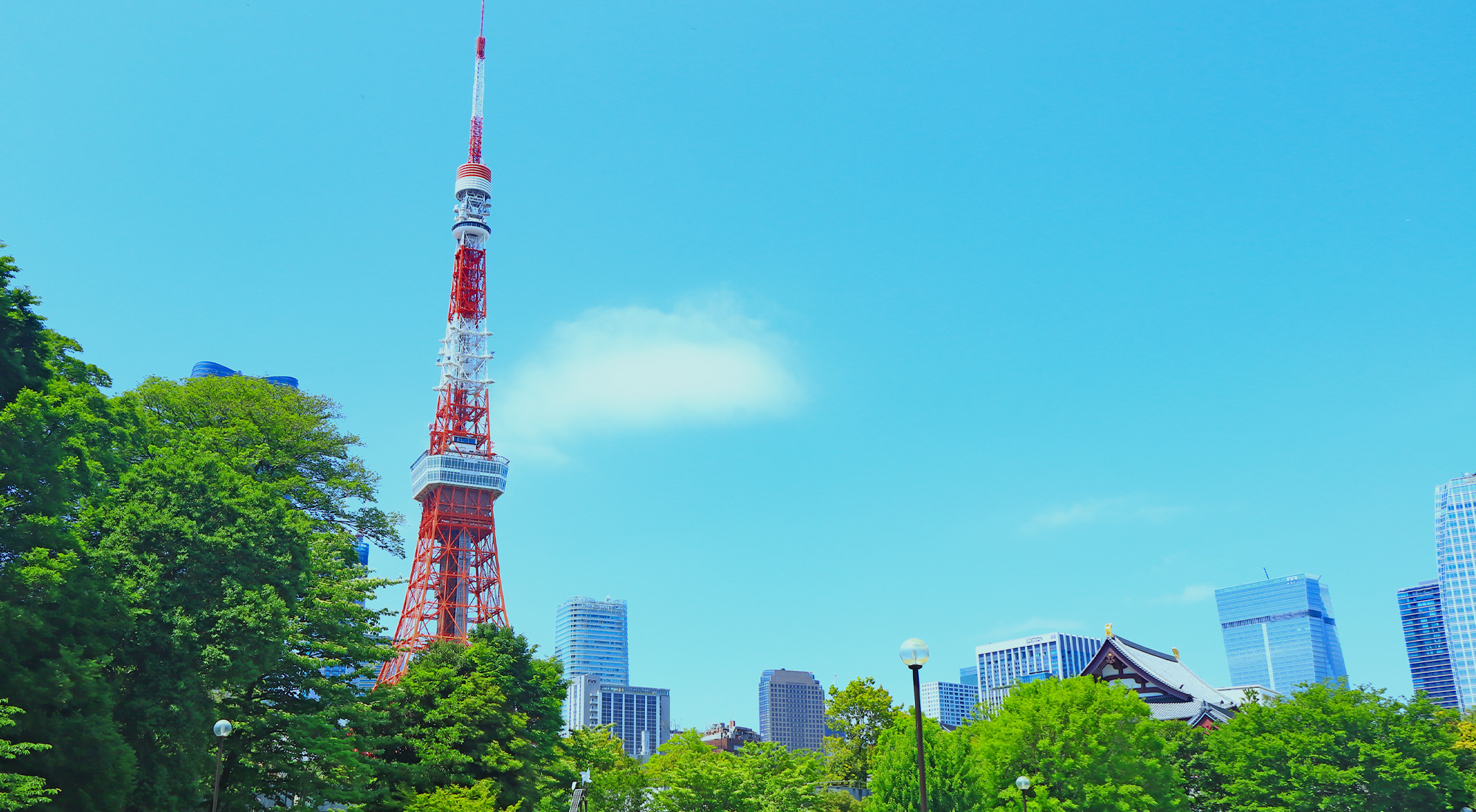 ライツグループ司法書士法人