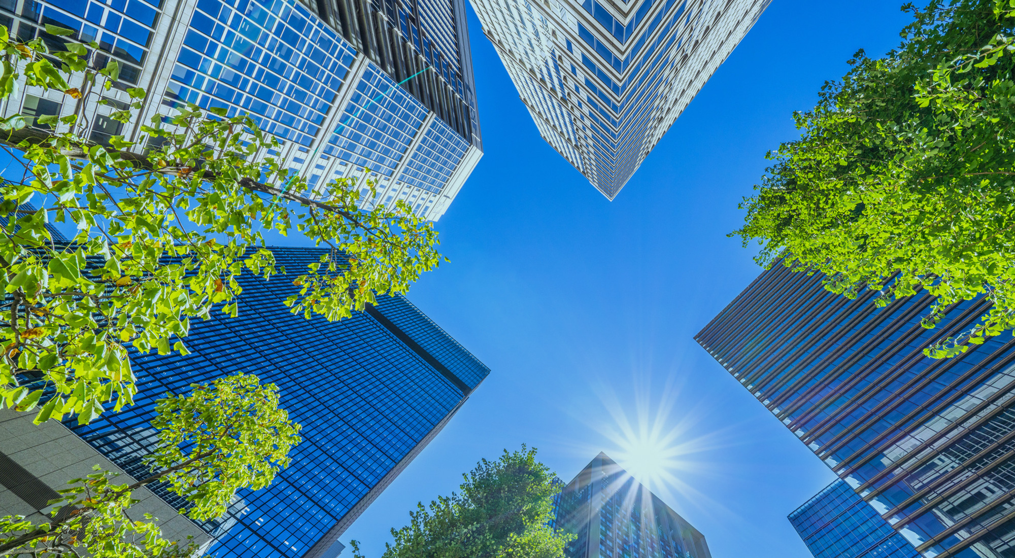 ライツグループ司法書士法人