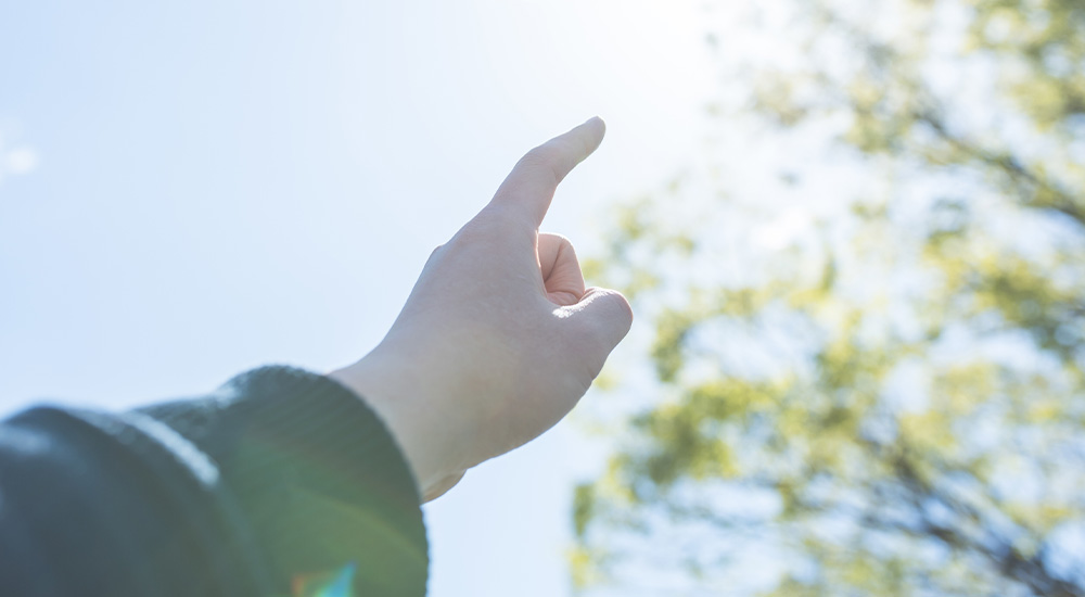 ライツグループとは